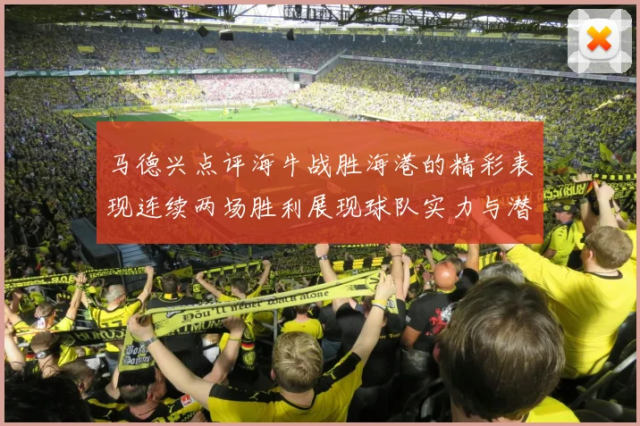 马德兴点评海牛战胜海港的精彩表现连续两场胜利展现球队实力与潜力