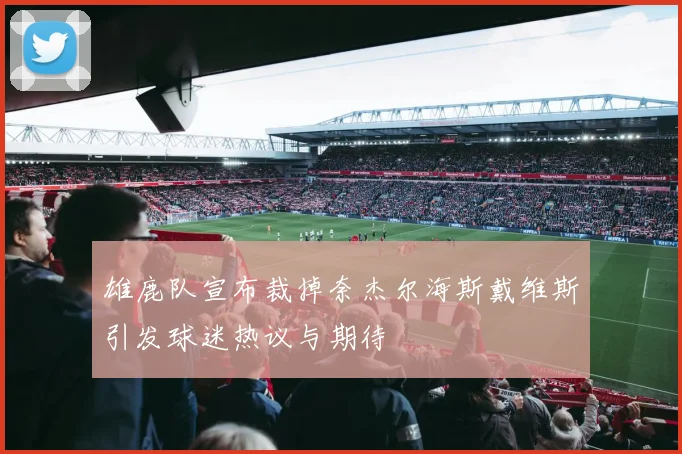 雄鹿队宣布裁掉奈杰尔海斯戴维斯引发球迷热议与期待